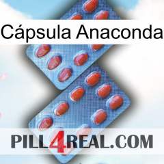 Cápsula Anaconda 05